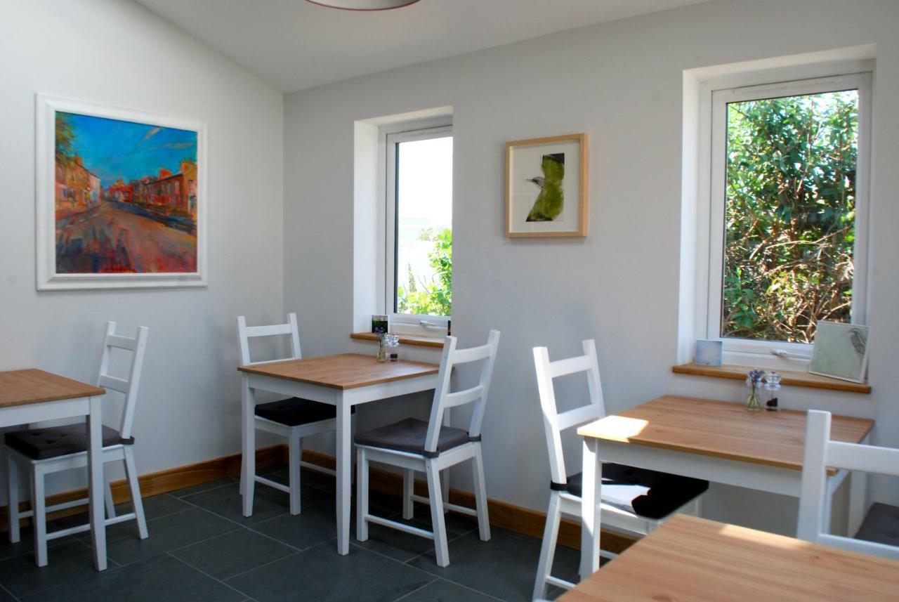 Ty Boia Bed & Breakfast St Davids Eksteriør billede