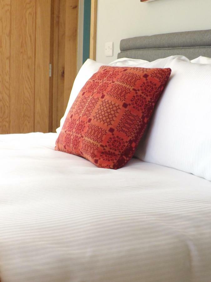 Ty Boia Bed & Breakfast St Davids Eksteriør billede